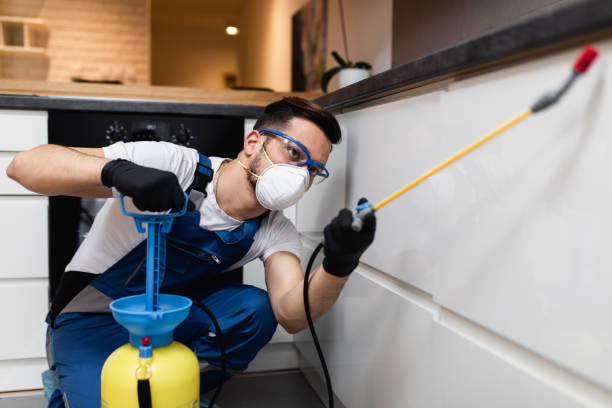Best Pest Inspection Near Me  in Hope, AR