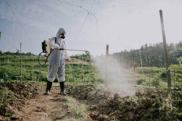 Best Best Pest Control Companies  in Hope, AR