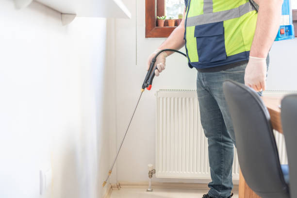 Best Flea Control Services  in Hope, AR