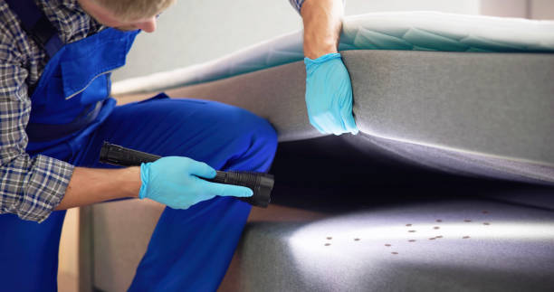 Best Termite Control Services  in Hope, AR
