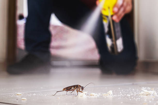 Best Pest Control for Restaurants  in Hope, AR