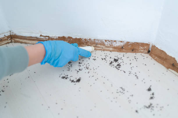 Best Best Pest Control Companies  in Hope, AR
